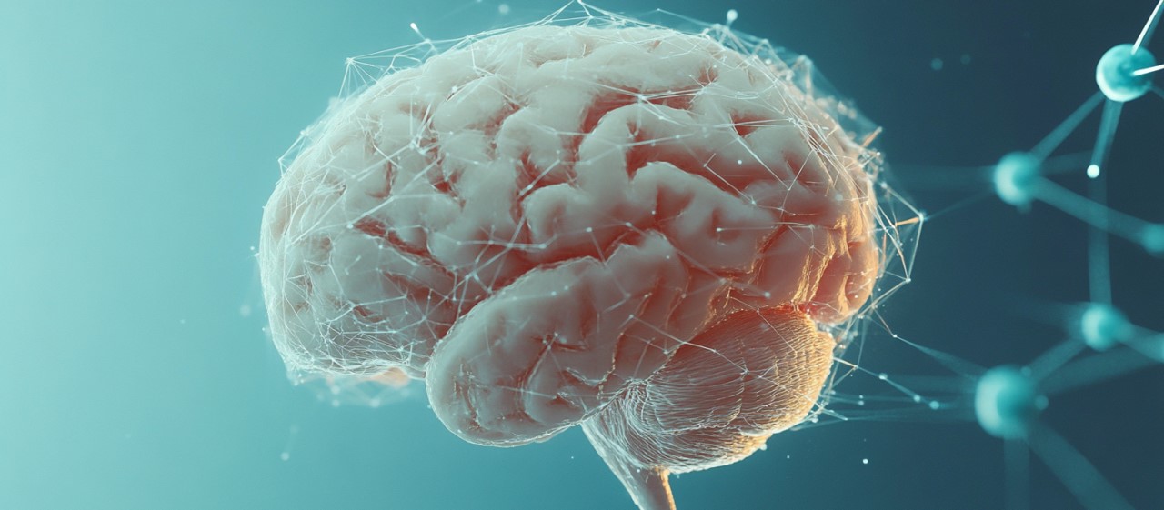 A human brain with the synapses modelled as a network as a symbol for human intelligence in the research process