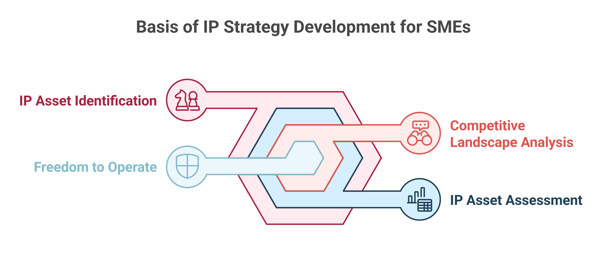 Schematic representation of the basis for developing an IP strategy