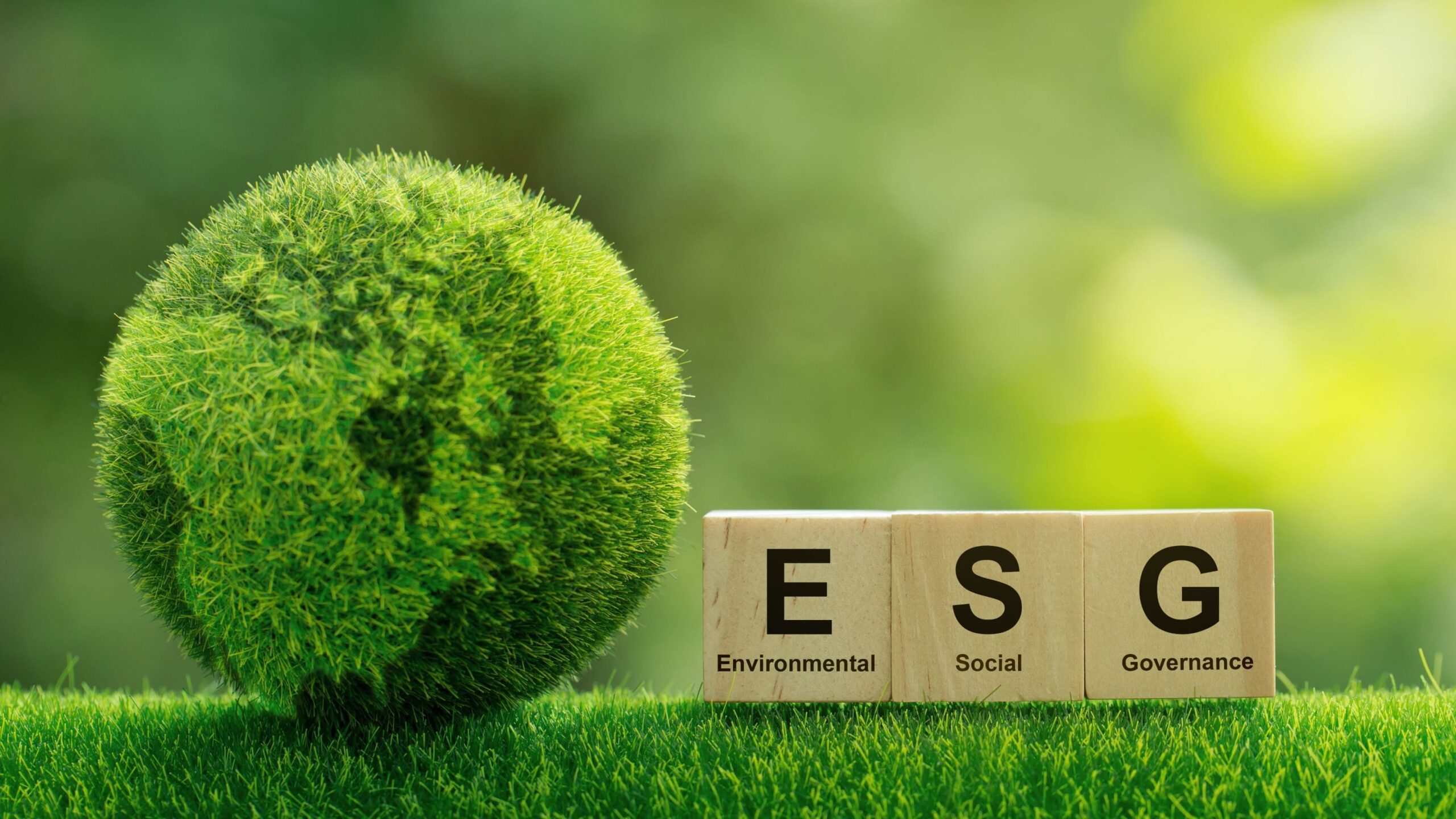 Conflicting Standards in ESG